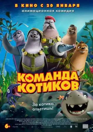 Команда котиков онлайн