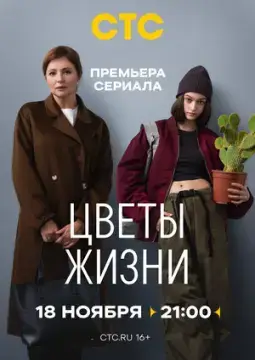 Цветы жизни онлайн